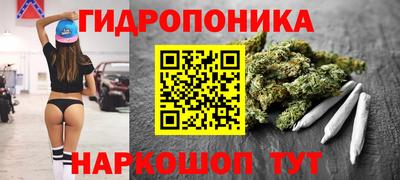 прущие крисы Можга