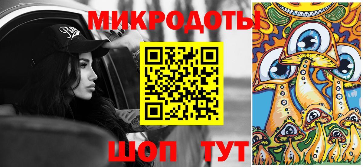 Псилоцибиновые грибы Psilocybe  Вход с VPN  Вольск 